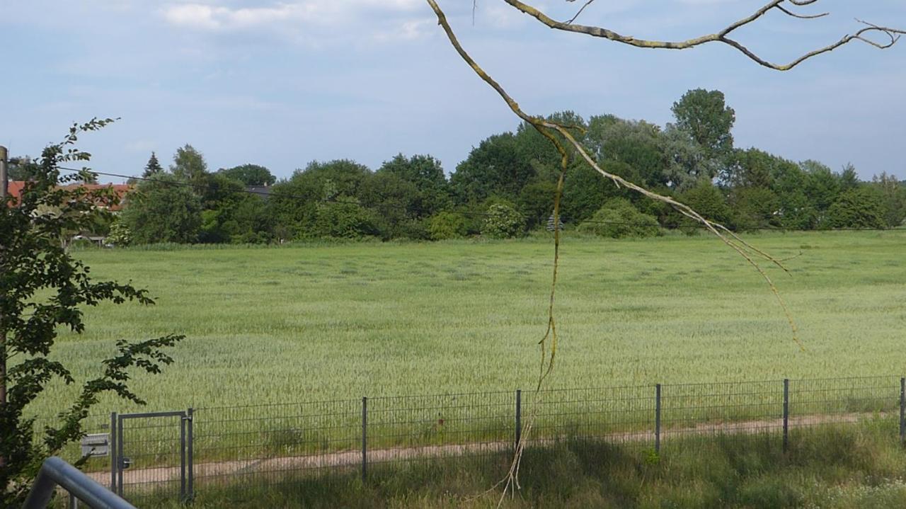 "Kleine Landliche Oase" Appartement Eggesin Buitenkant foto