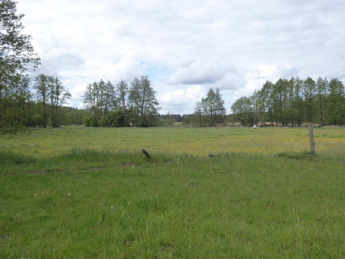 "Kleine Landliche Oase" Appartement Eggesin Buitenkant foto